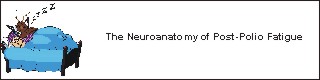 Neuroanatomy