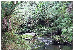 SERRA DA MANTIQUEIRA