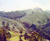 Fazenda | 41 hectares | Sapuca� Mirim-MG