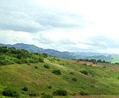 Fazenda | 24 hectares | Parais�polis-MG