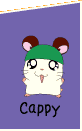 Cappy