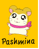 Pashmina