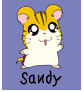 Sandy