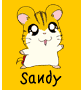Sandy