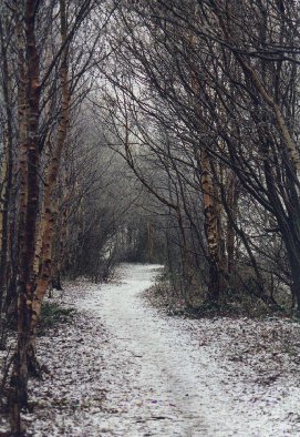 �Ormskirk