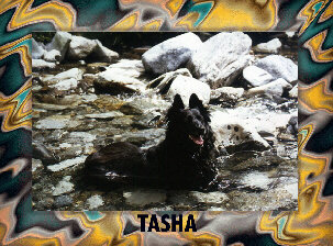 ©tasha
