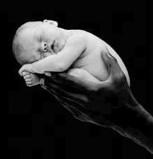 Our Babies in the hands of the Almighty