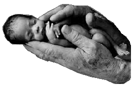 Our Babies in the hands of the Almighty