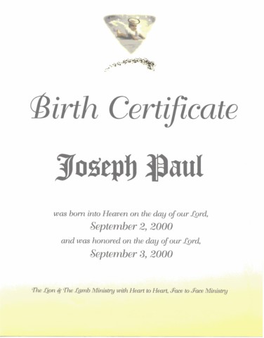 Birth Certificate to My Baby