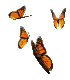 butterfies.gif (5238 bytes)
