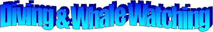 click here for my page on Diving & Whale Watching