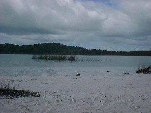 Aly McKenzie @ Lake McKenzie