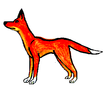 courtesy of : http://home.wanadoo.nl/astrila/animations.html