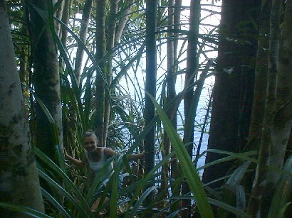 crawling through the undergrowth