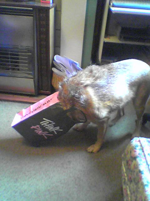 Is that food or just a Ma Bar in here?