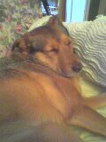 zzzzzzzzzzzzzzzzzzzzzzzz