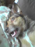 Estherrrrrrrrrrrrrrrrrrrrr 