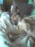 Don't I look cute?