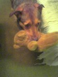 Im taking my teddy with me ok!