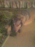 Its MY teddy 