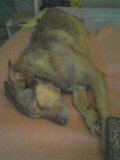 ZZZZZZZZZZZZZZZZZzzz