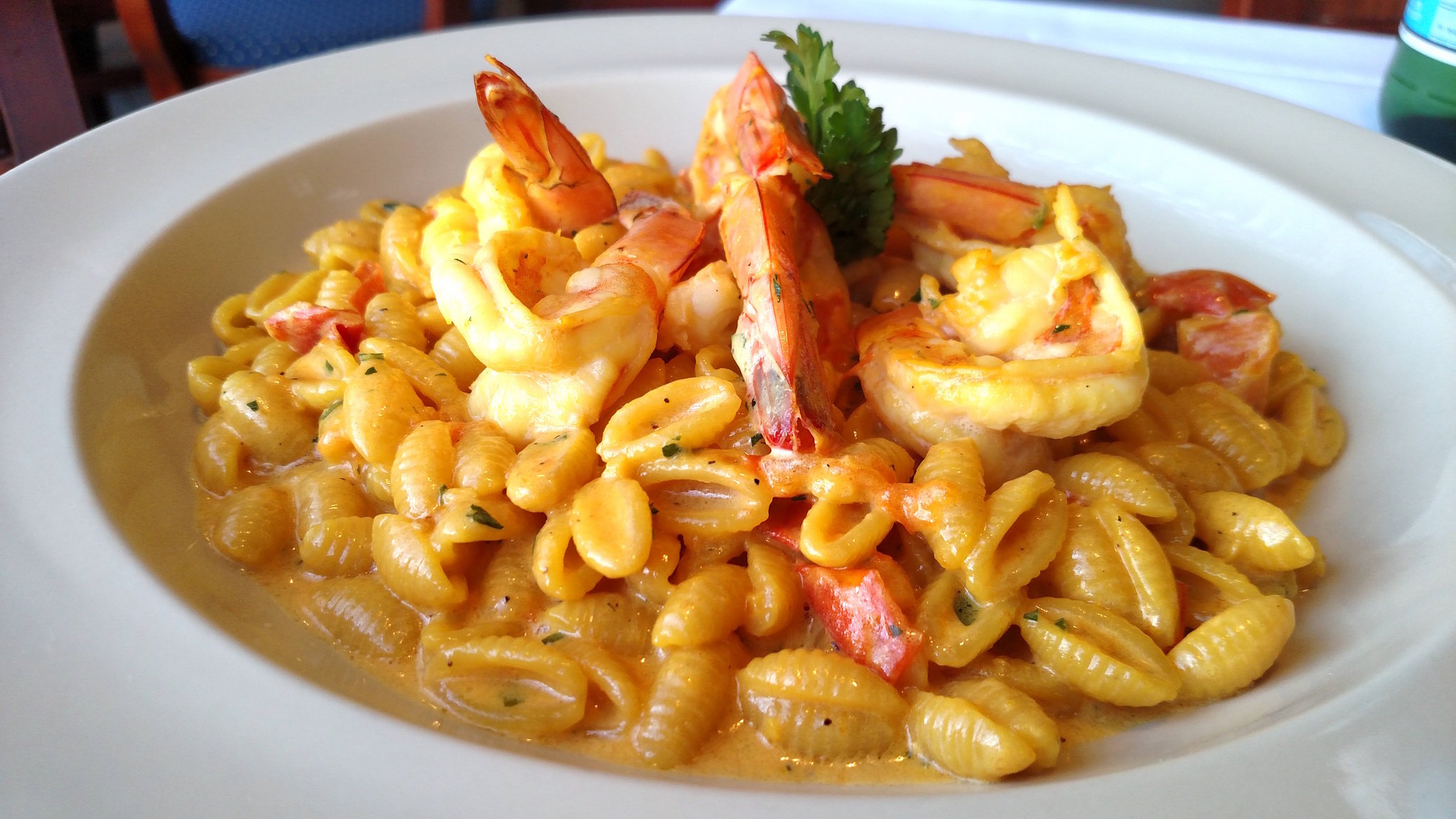 shrimpdish