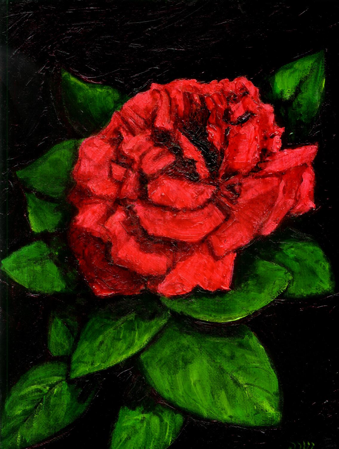 oil painting - Rose.