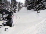 Love the Powder!