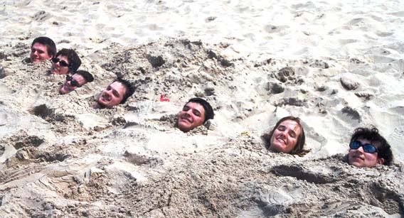 the dunes