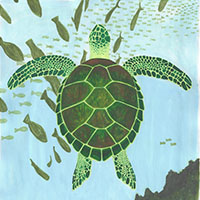 Tortuga