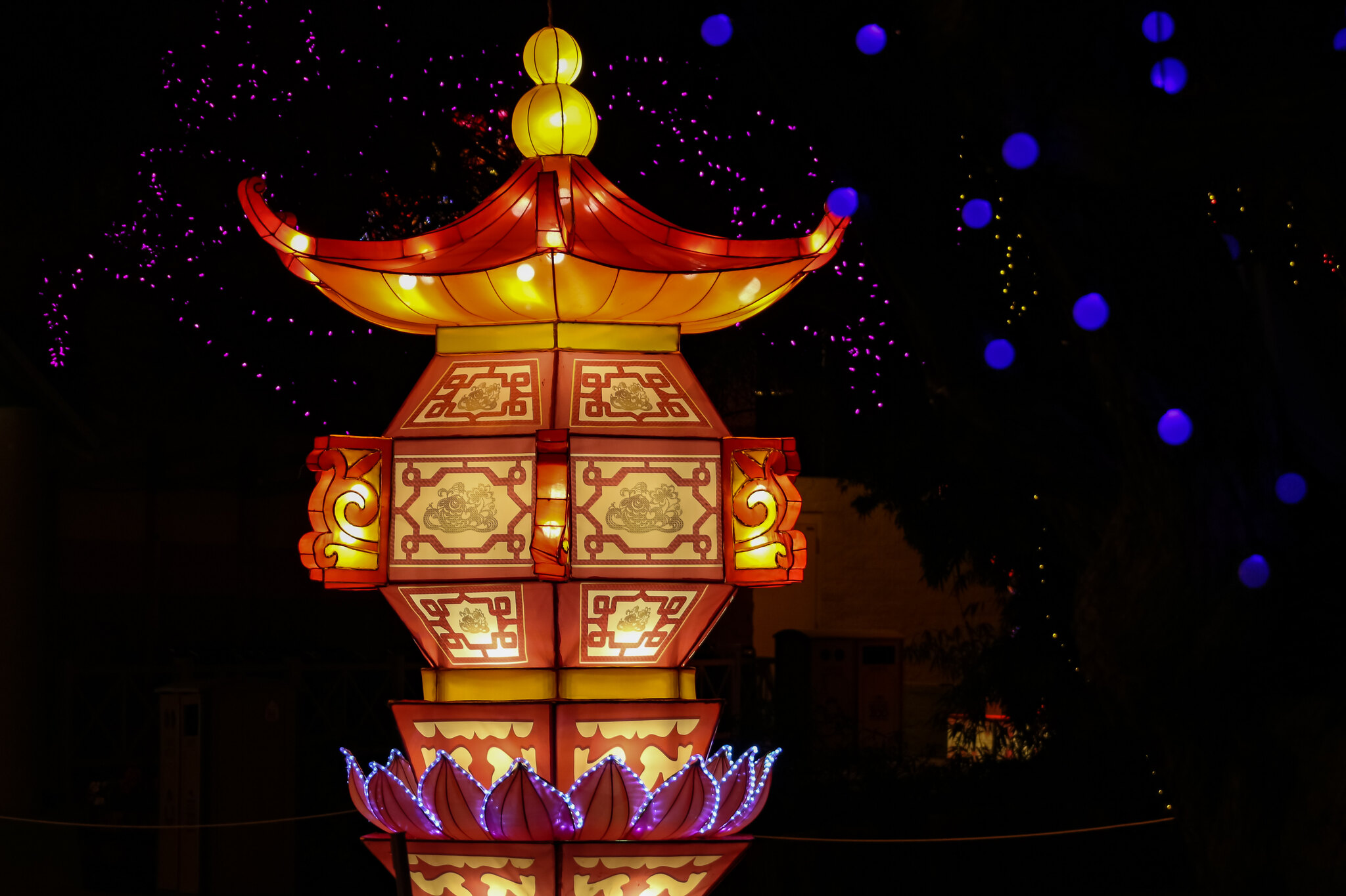 chinese lantern