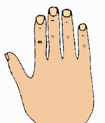 Square hand