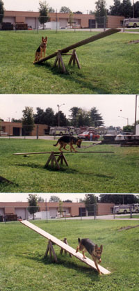 3picseesaw.JPG (29982 bytes)