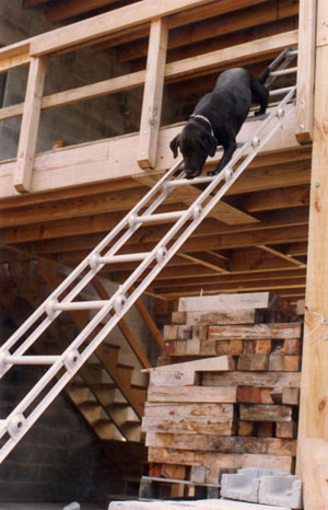 sky20ftladder.JPG (44259 bytes)