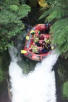 Rafting por rio con cascada