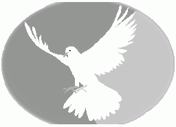 Peace Team