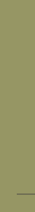 Piece of interface, no image