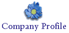 Comapny Profile