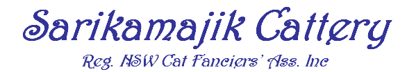 Sarikamajik Cattery