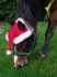 A happy Christmas from the Peppi. :)
