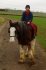 (Brookfield Argyll/Argonaut) Hehe, the Clydesdale of Brookfield Shires ... personality complex? :P That's my mum's friend Jo (and the new Head Groom and therefore my boss!) on him.