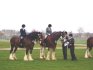 (Brookfields' Smokin' Joe and Argyll/Argonaut) That's Sam ridin' Argy. ^-^ I came 8th here, whoo me! And in the next class we both fell over and I got taken off in an ambulance. o.O