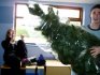 Well Kenyon was attacking me with a Christmas tree (as you do), then he tried to attack Loz when she took the photo. It was shocking.