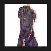 [ Ebony a black Lab 35k ]