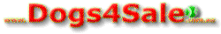 DOGS4SALE.COM.AU