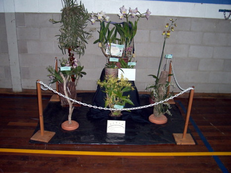 Murray Darling Display