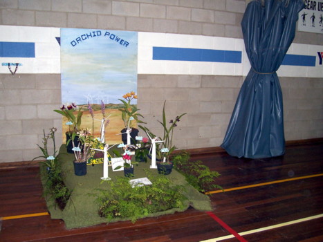 Millicent Orchid Society Display
