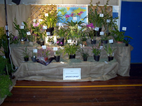 South Coast Species Club
