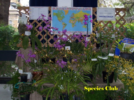 South Coast Species Club