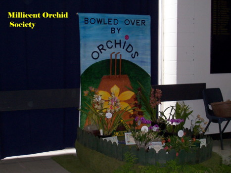Millicent Orchid Society Display